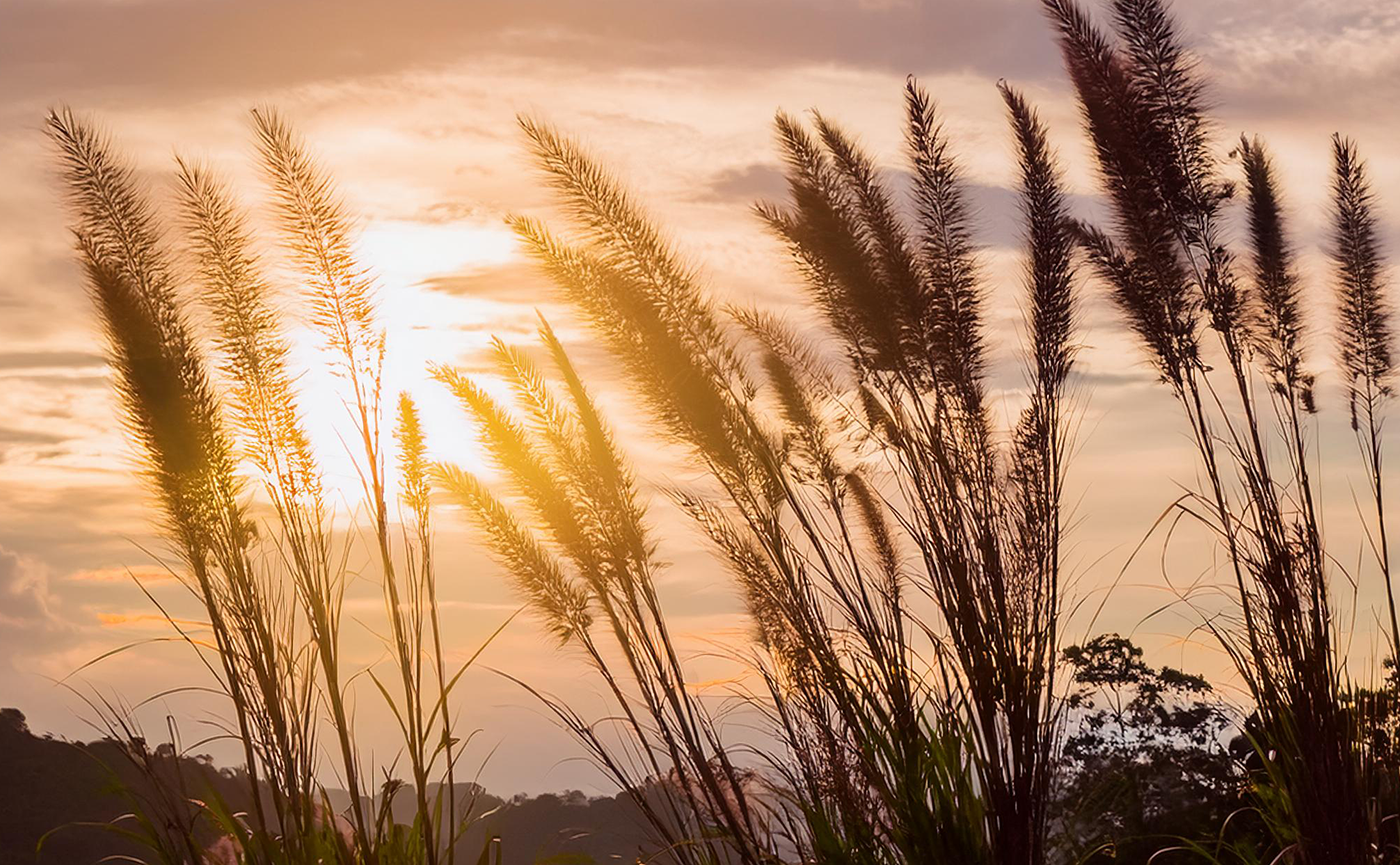 Ondersteuning regeling actieve levensbeëindiging 1 - 12 jaar
